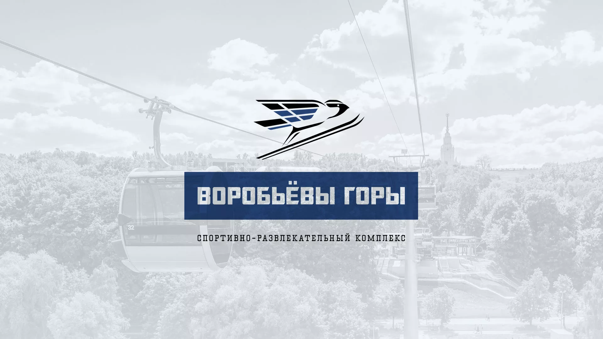 Разработка сайта в Петровске-Забайкальском для спортивно-развлекательного комплекса «Воробьёвы горы»