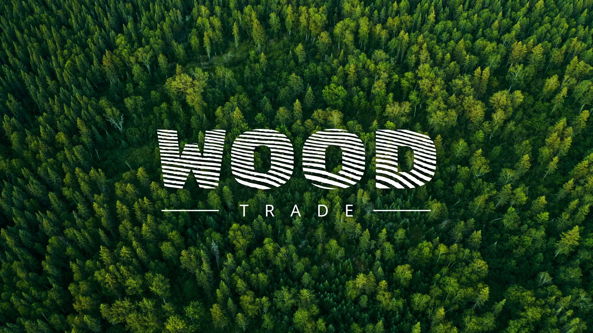 Разработка интернет-магазина компании «Wood Trade» в Петровске-Забайкальском