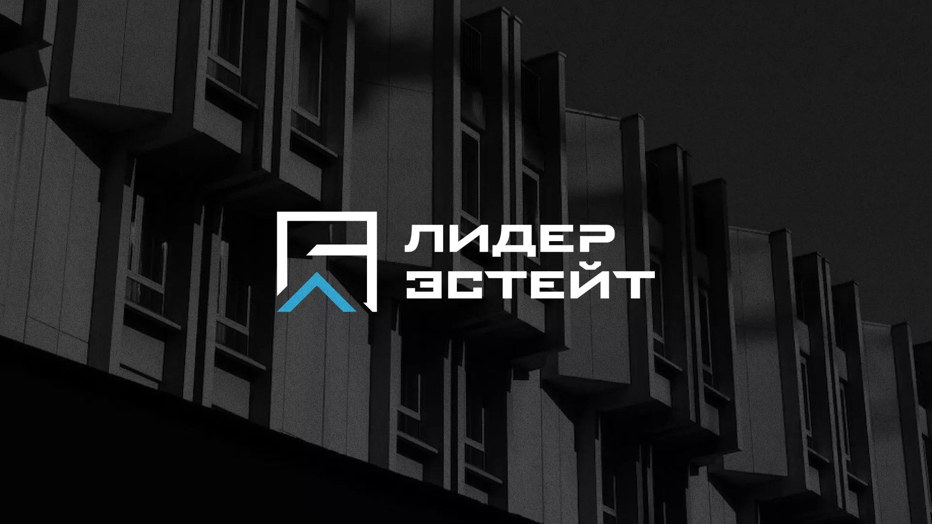 Разработка логотипа агентства недвижимости «Лидер Эстейт» в Петровске-Забайкальском