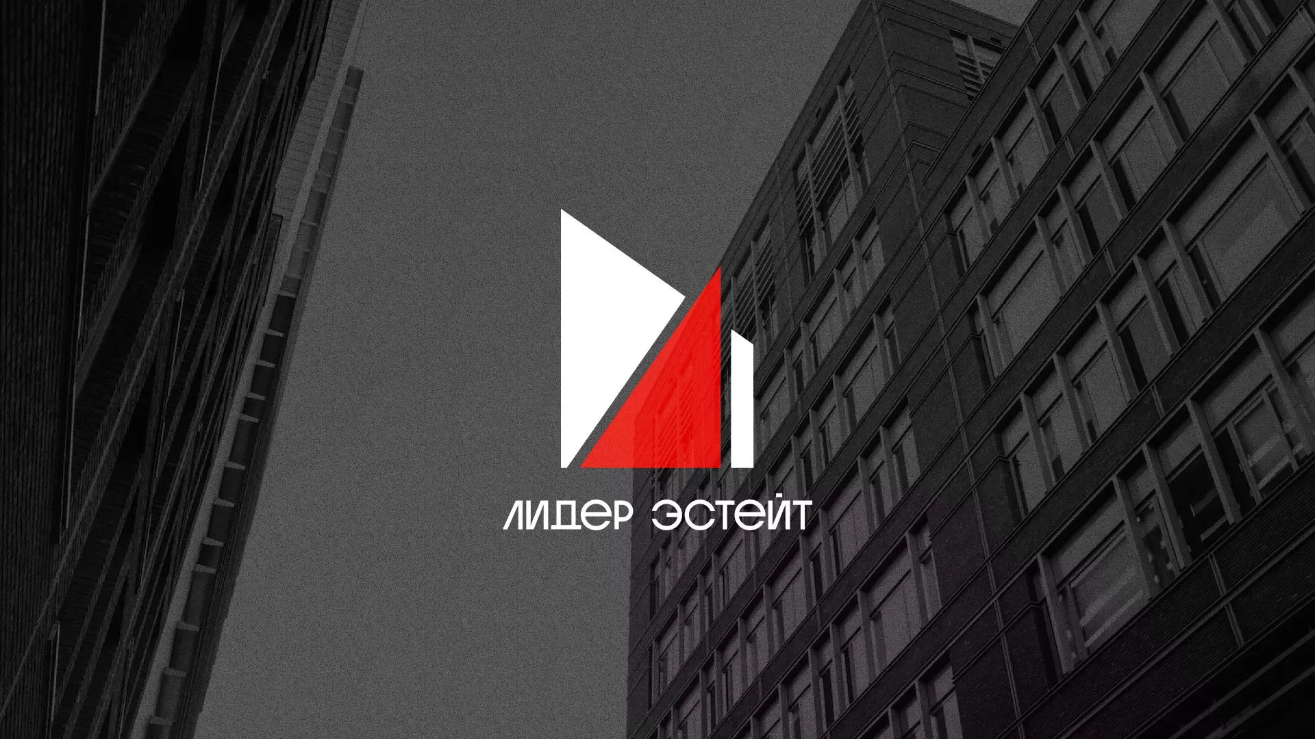 Сделали логотип для агентства недвижимости «Лидер Эстейт» в Петровске-Забайкальском